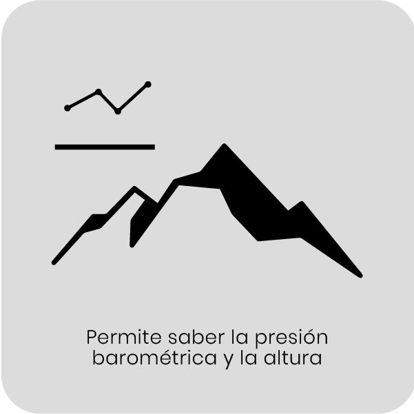 Especificación 4