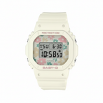 BGD-565RP-7DR Frontal